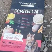photo de livraison pour Les Chats-Pitresdelavi-Ste