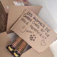 photo de livraison pour Chiens, Chats et Cie