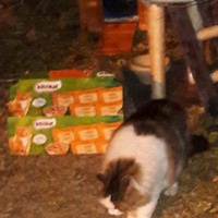 photo de livraison pour Les Chats Libres de la Canterrane