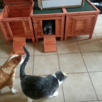 photo de livraison pour Chaperlipopette 77