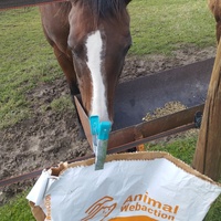 photo de livraison pour Hearthland Royal Horse