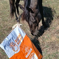 photo de livraison pour Equi-Libre : Droit à la Retraite Equine