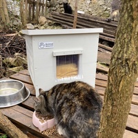 photo de livraison pour Les Chats Perchés de Mirmande