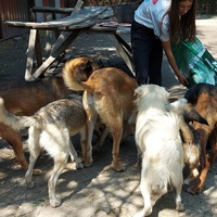 photo de livraison pour Svetlana Bjelogrlic