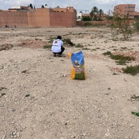photo de livraison pour L'Arche de Noé