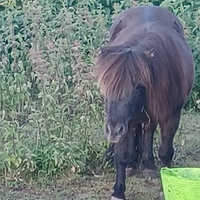 photo de livraison pour Tabula Rasa