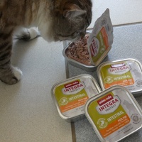 photo de livraison pour Jardin des Chats
