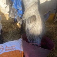photo de livraison pour Espoir au Galop