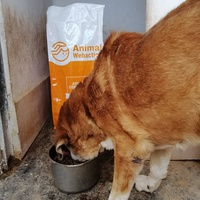 photo de livraison pour Cambiando Miradas