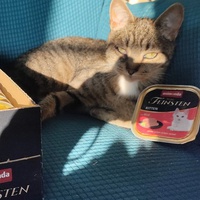 photo de livraison pour Hope14