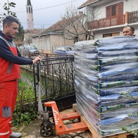 photo de livraison pour Azil za pse"Poslednja oaza"