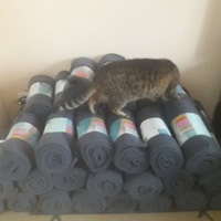 photo de livraison pour Les Amis de Michouette