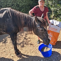 photo de livraison pour La Retraite des Chevaux des Causses