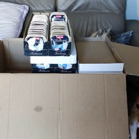 photo de livraison pour Patounes de Chats