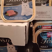 photo de livraison pour Les Chats-Pitresdelavi-Ste
