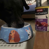 photo de livraison pour AVRAH