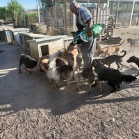 photo de livraison pour Association for the protection of animals "BAK"