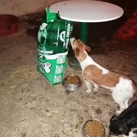 photo de livraison pour Ivana Nikolić