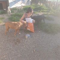 photo de livraison pour First Hope Animal Rescue