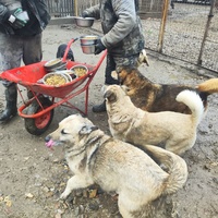 photo de livraison pour Svetlana Bjelogrlic