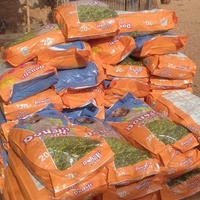 photo de livraison pour 4 Pattes Mogador