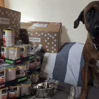 photo de livraison pour Felis Canis Association