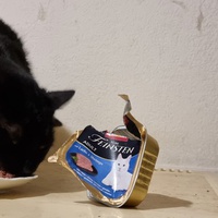 photo de livraison pour Chats Libres des Hauts Cantons de l'Hérault