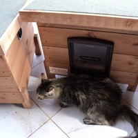photo de livraison pour Protection Animale Amélienne