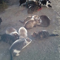 photo de livraison pour Refuge du Poil à la Plume