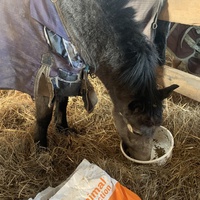 photo de livraison pour Espoir au Galop