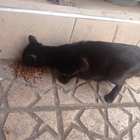 photo de livraison pour Hajar Aourz