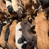 photo de livraison pour ADAN