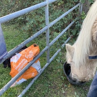 photo de livraison pour Espoir au Galop