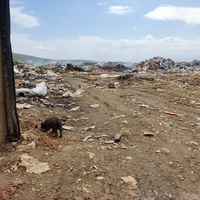 photo de livraison pour Civic Initiative Kane Korzo Skopje