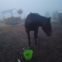 photo de livraison pour Tabula Rasa