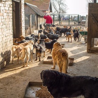 photo de livraison pour Azil Bella