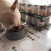 photo de livraison pour Pour l'Amour des Chats