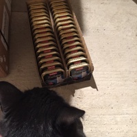 photo de livraison pour Les Chats de Condom 32