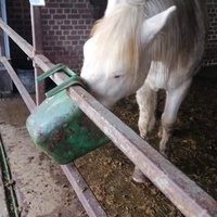 photo de livraison pour Au Bonheur Animal