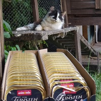 photo de livraison pour Sous l'Aile de Bastet