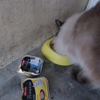 photo de livraison pour Les Poilus du 33