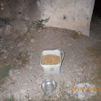 photo de livraison pour Pro Animals Finland ry