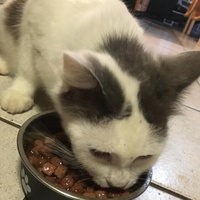 photo de livraison pour Adopt un Poilu