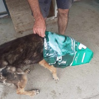 photo de livraison pour Udruženje za zaštitu životinja "Pongo"
