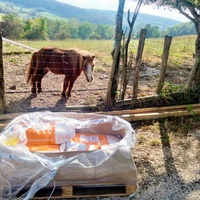 photo de livraison pour Chats errants du val du crenu
