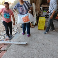 photo de livraison pour 4 Pattes Mogador