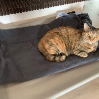 photo de livraison pour Amour et Protection des Animaux