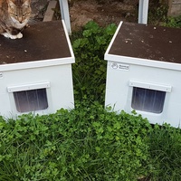 photo de livraison pour Un Ronron d'Espoir 33