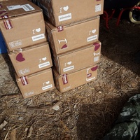 photo de livraison pour Les Chatoyants