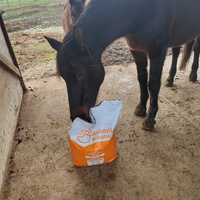 photo de livraison pour Refuge Cheval Nature En Aquitaine